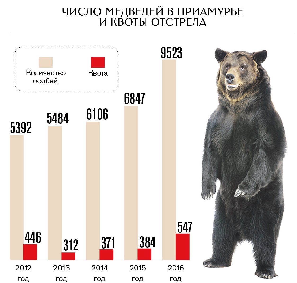 Сколько Медведей На Камчатке В 2024